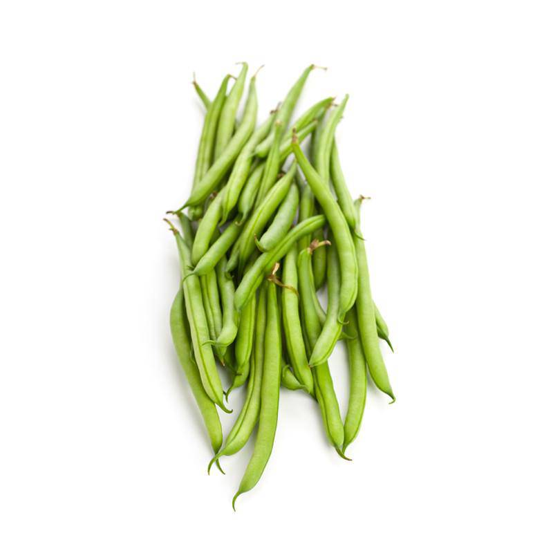 Beans-Kentucky Wonder Pole Bean 1850
