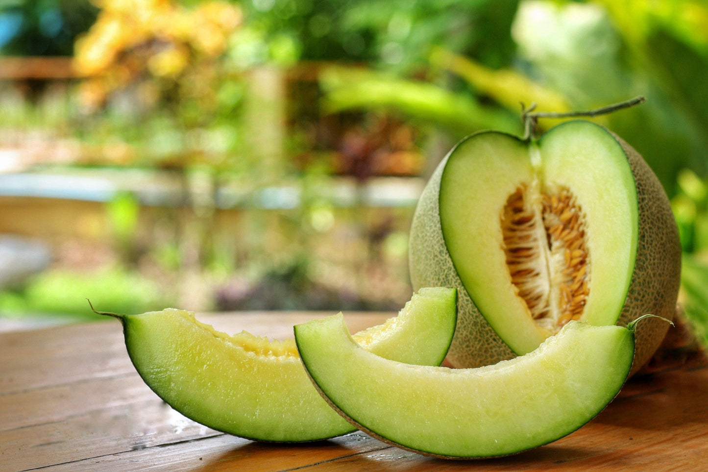 Melon-Honey Dew 1852