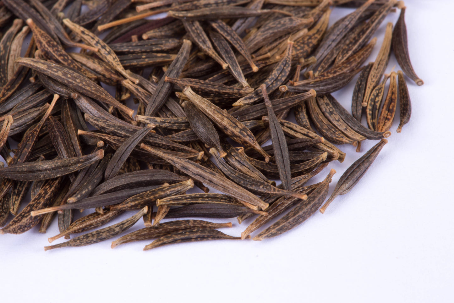 Cosmos, Sensation Seed Packets