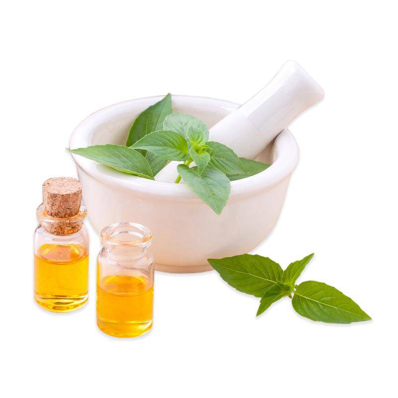 Basil, Lemon Seed Packets