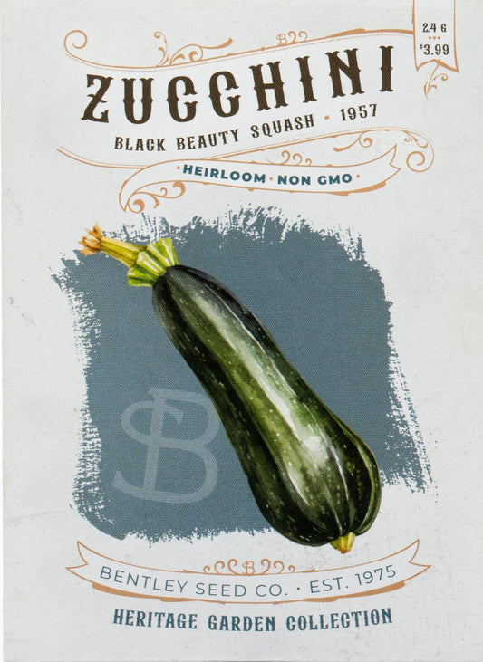 Zucchini-Black Beauty Squash 1957