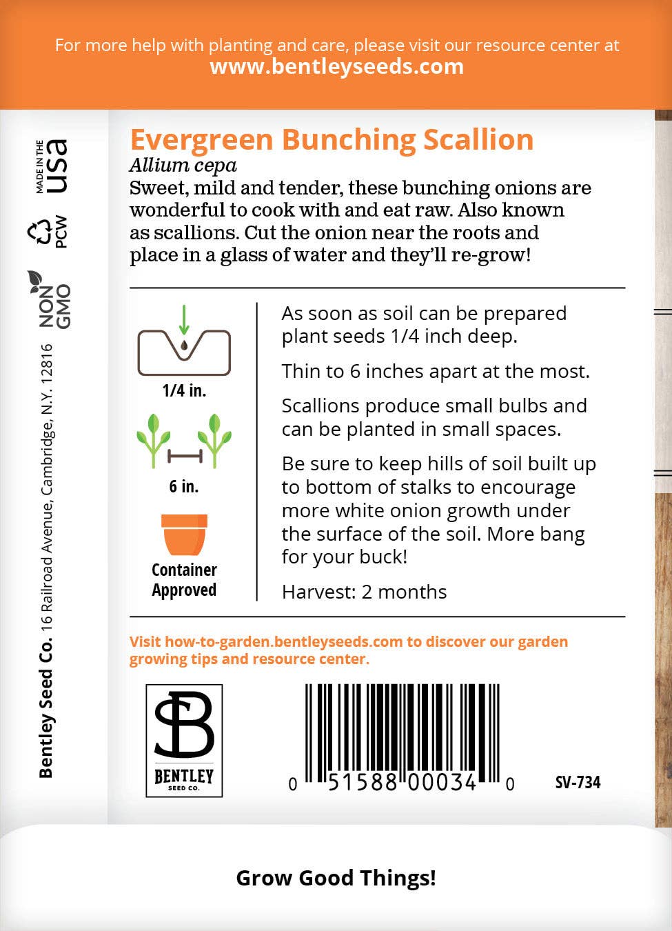 Onion, Evergreen Bunching Seed Packets