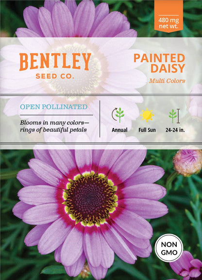Daisy, Painted Daisy Seed Packets