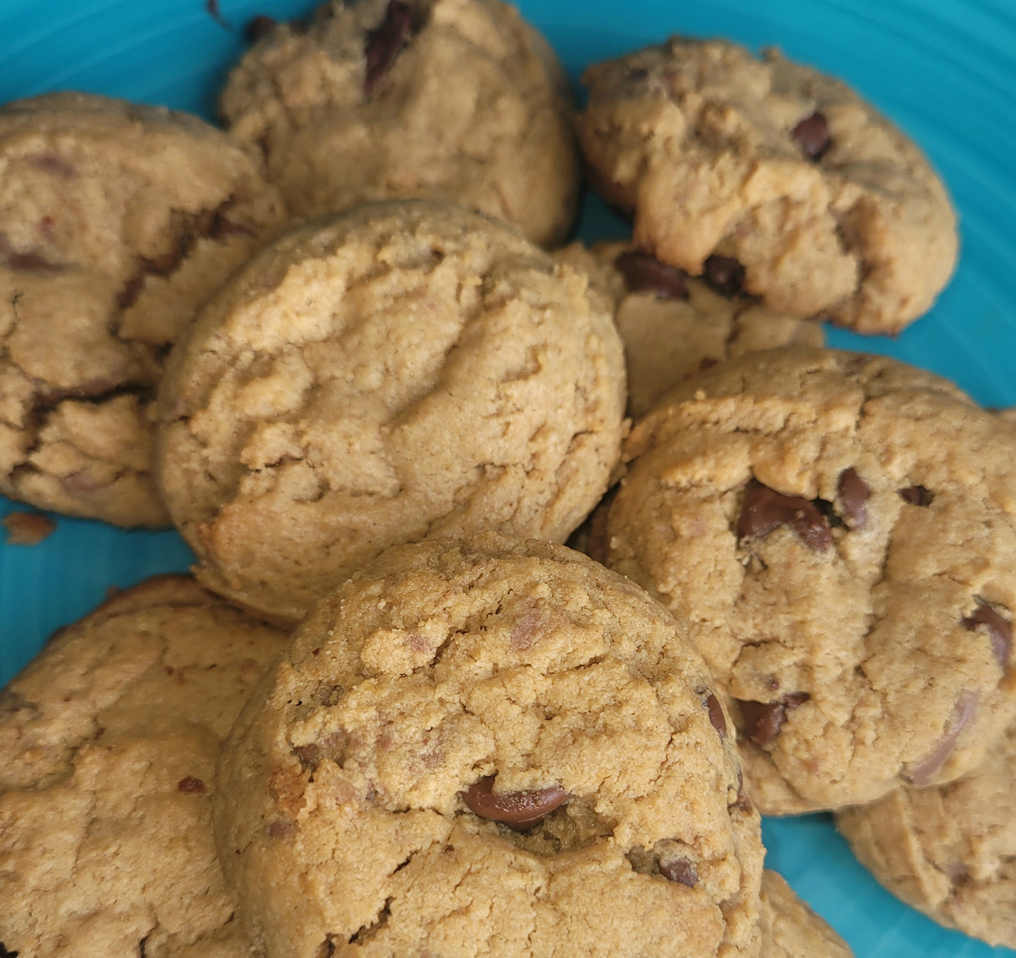 Peanut Butter Chocolate Chunk Cookies