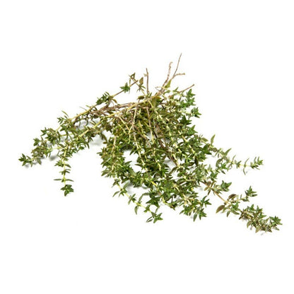 Thyme Perennial Plant Seeds