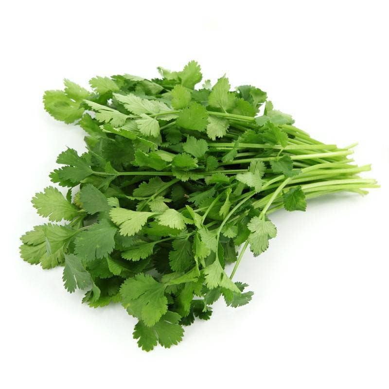 Cilantro, Slow Bolting Seed Packets