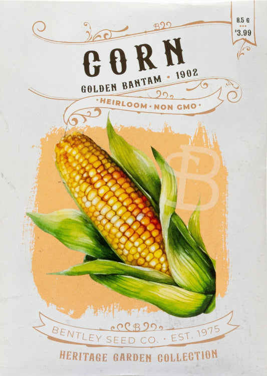 Corn-Golden Bantam 1902