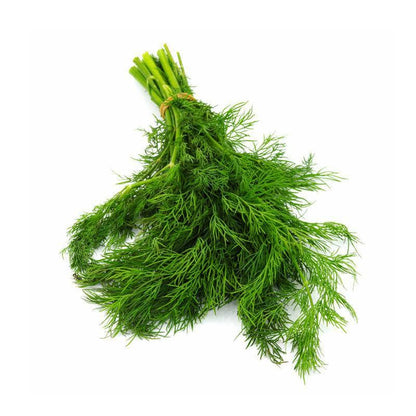 Dill, Long Island Mammoth Seed Packets