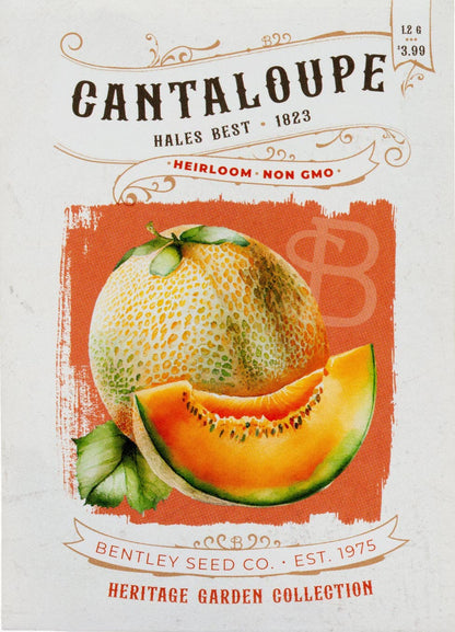 Cantaloupe-Hales Best 1823