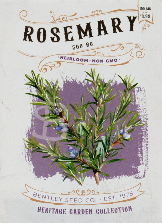 Rosemary-500 BC