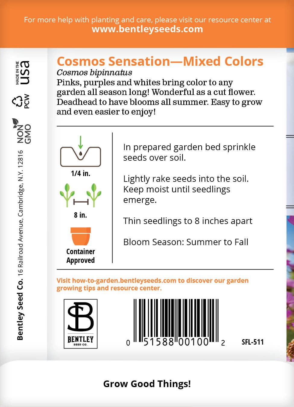 Cosmos, Sensation Seed Packets