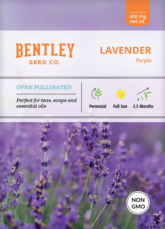 Lavender Plant Seeds for Garden