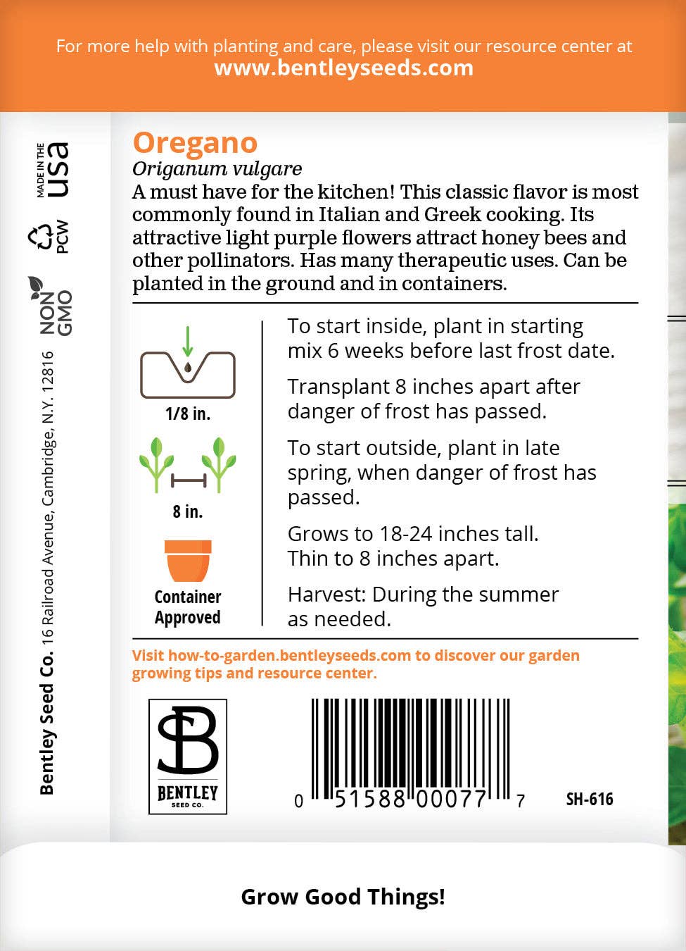 Oregano Seed Packets