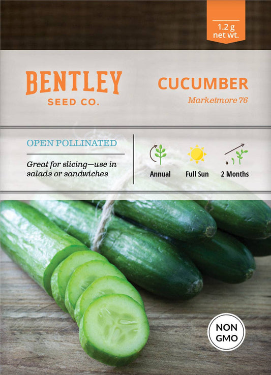 Cucumber, Marketmore 76 Seed Packets