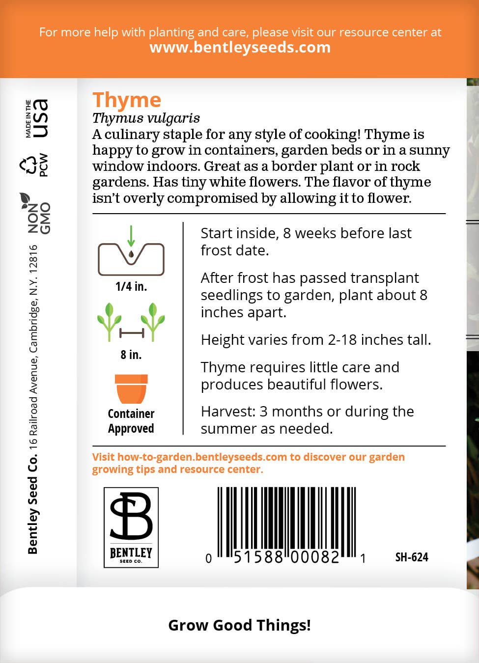 Thyme Perennial Plant Seeds