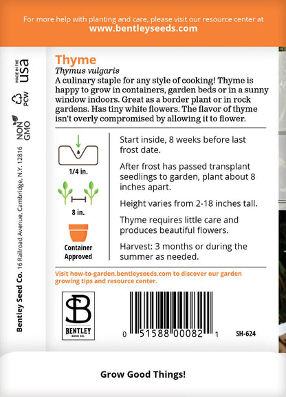 Thyme Perennial Plant Seeds