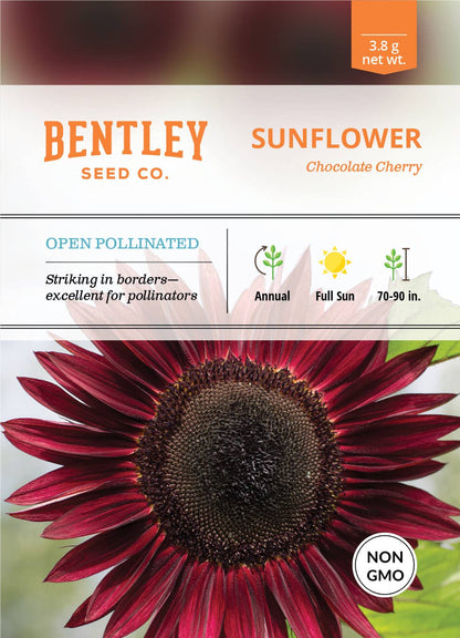Sunflower, Chocolate Cherry Seed Packets
