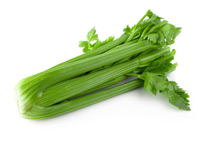 Celery- Tall, Utah Seed Packets