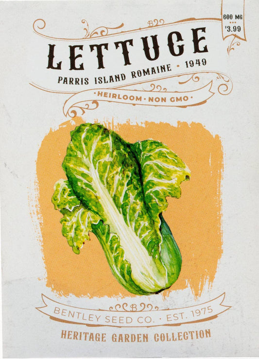 Lettuce-Parris Island Romaine 1949
