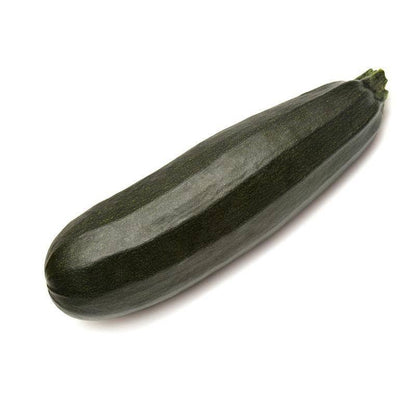 Zucchini-Black Beauty Squash 1957