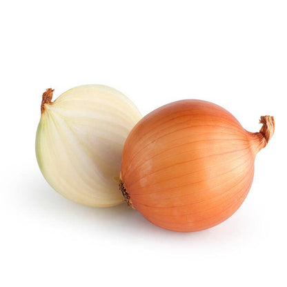Onion, Yellow Sweet Spanish Seed Packets