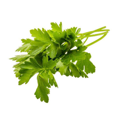 Parsley, Plain Italian Seed Packets