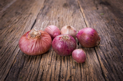 Onion, Red Danvers Seed Packets
