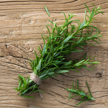 Rosemary-500 BC