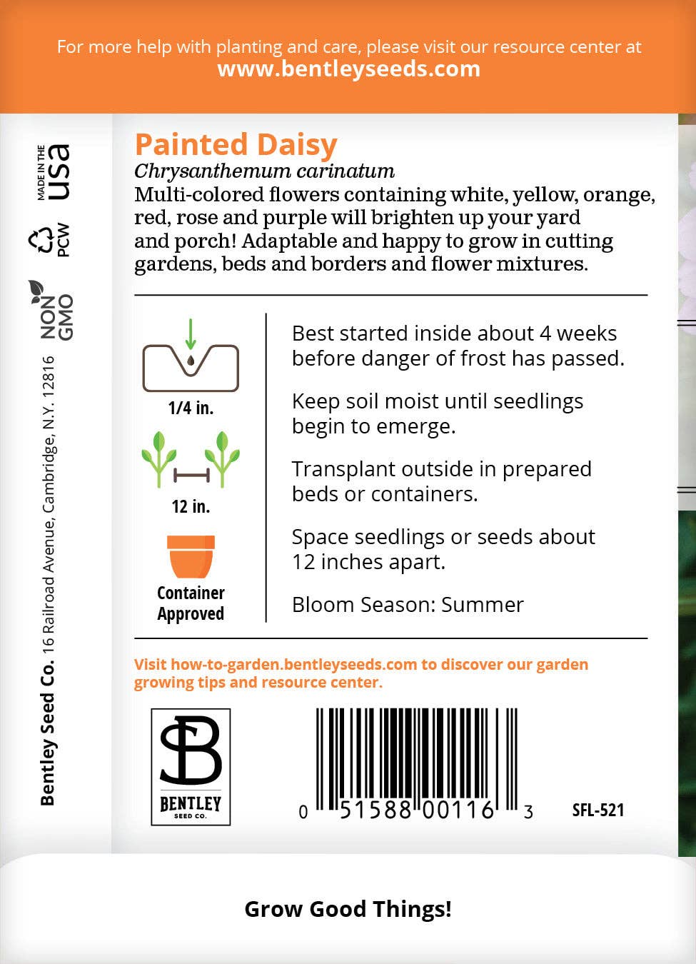 Daisy, Painted Daisy Seed Packets