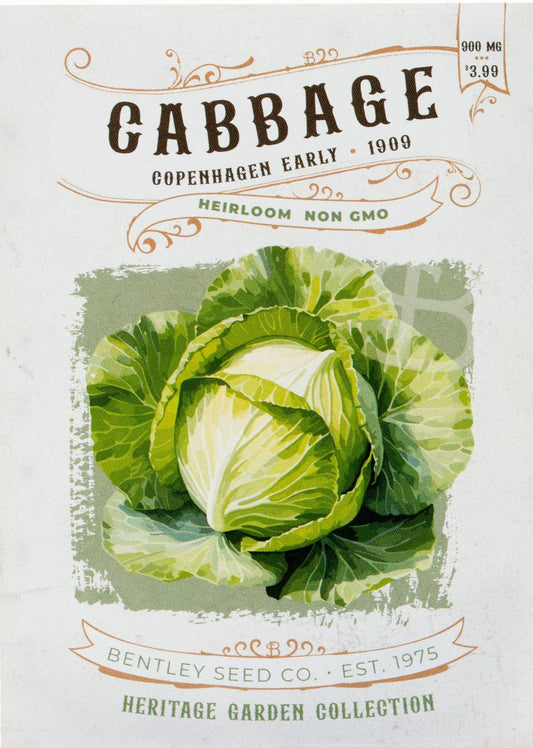 Cabbage-Copenhagen Early 1909