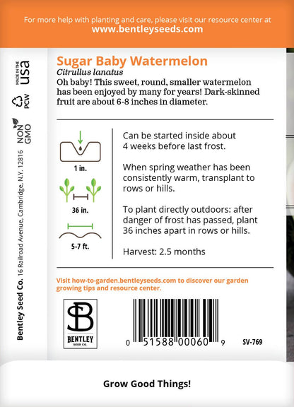 Watermelon-Sugar Baby