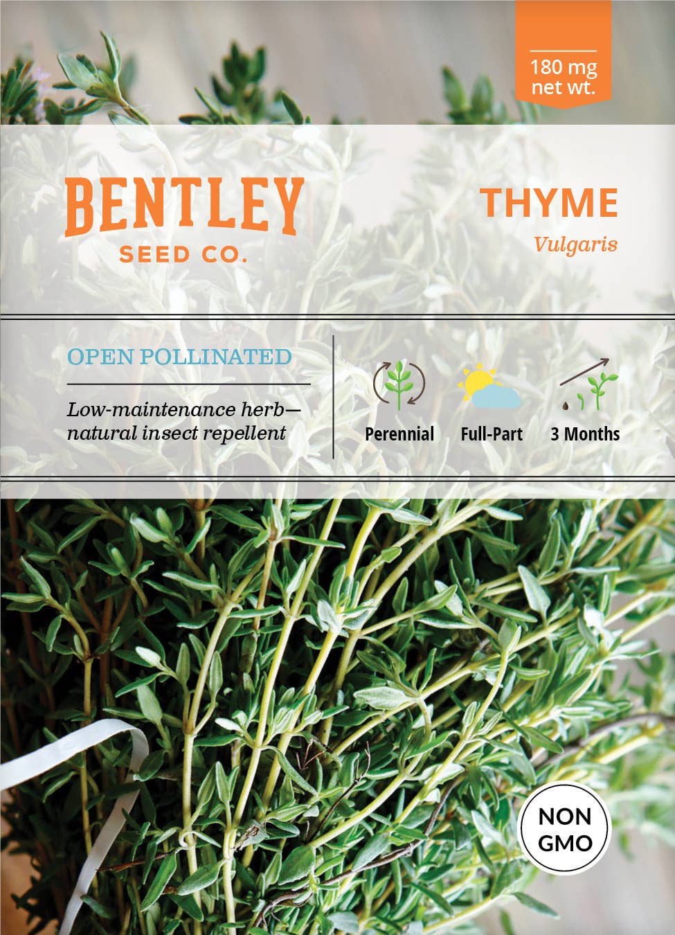 Thyme Perennial Plant Seeds