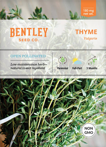 Thyme Perennial Plant Seeds