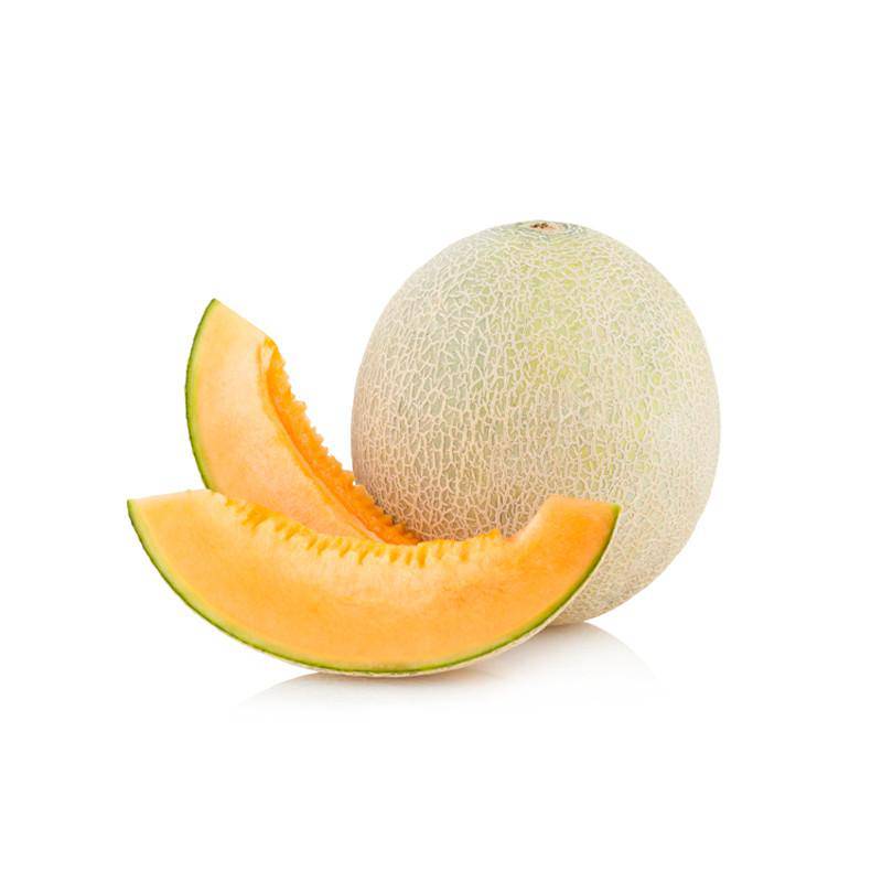Cantaloupe-Hales Best 1823
