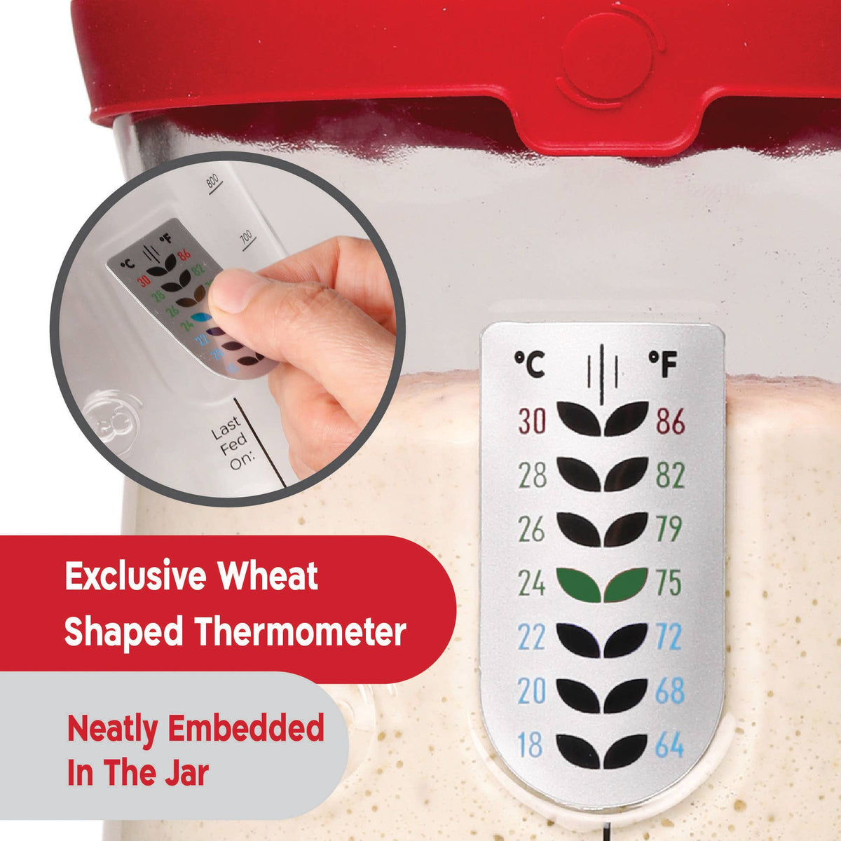 KneadAce PRO Sourdough Kit:34oz Jar-Round Baskets-Bread Lame