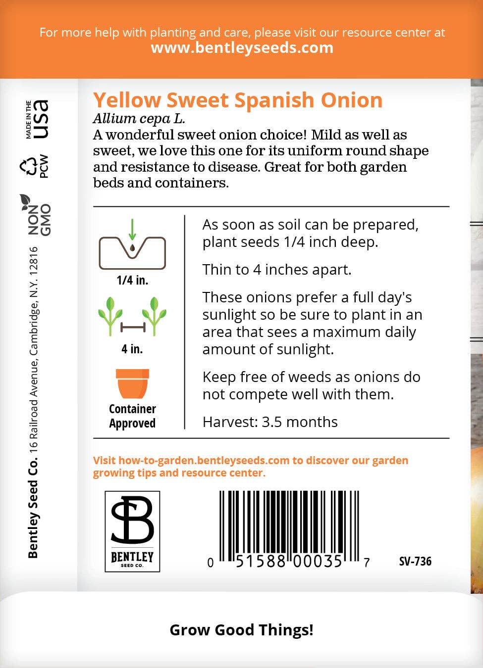 Onion, Yellow Sweet Spanish Seed Packets